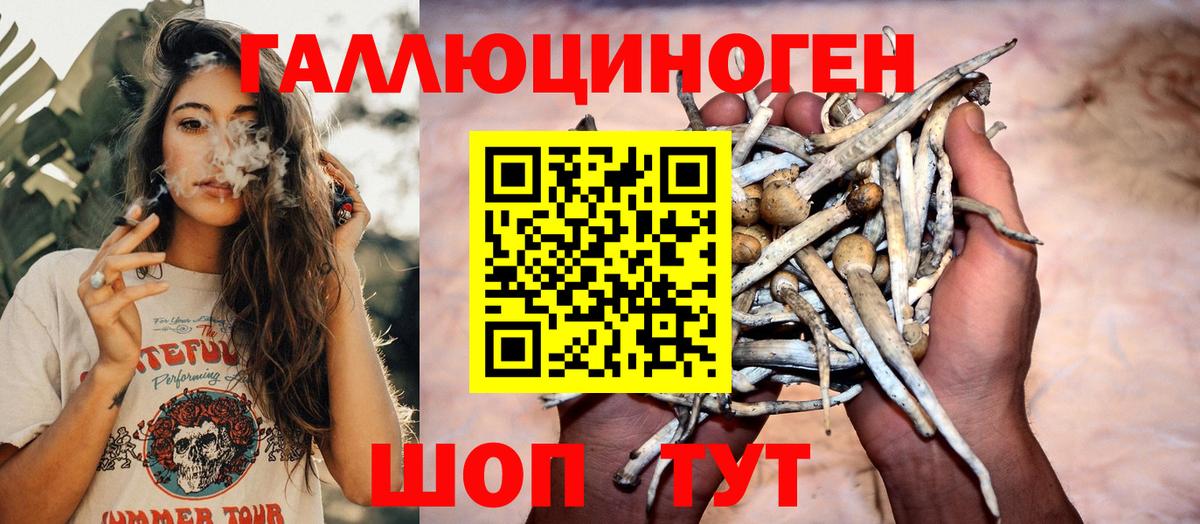 Псилоцибиновые грибы MAGIC MUSHROOMS Волгодонск