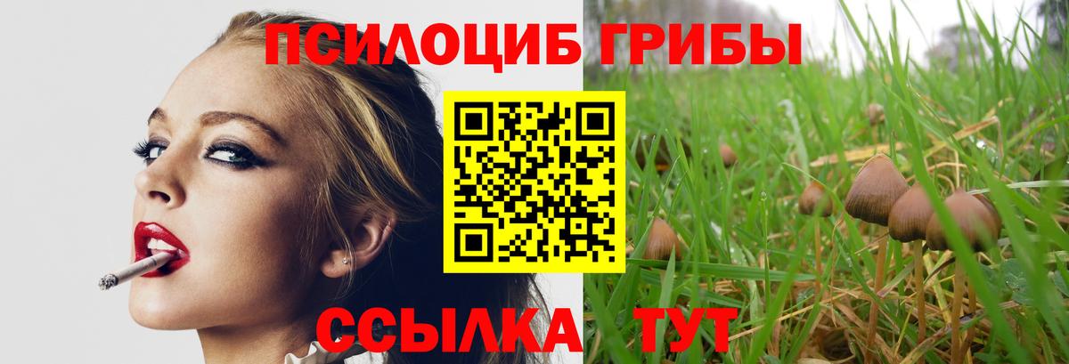 Волгодонск  Псилоцибиновые грибы прущие грибы  Вход с VPN 